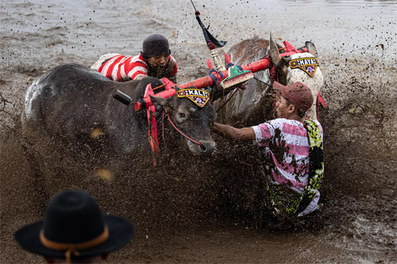 إليكم الصور الأكثر إثارة لأبرز أحداث العالم لهذا الأسبوع صورة رقم 13