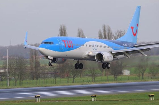 لندن..بجعتان تصطدمان بطائرة وتجبرانها على الهبوط اضطرارياً صورة رقم 1