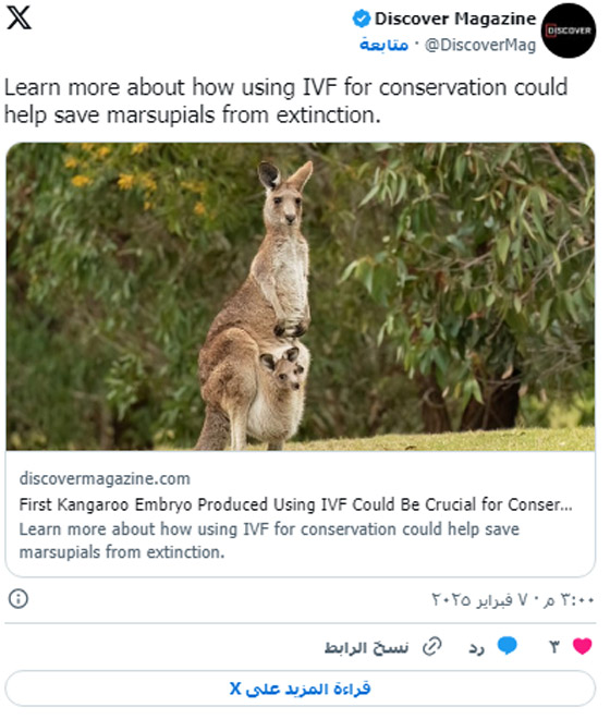  ���� ��� 1 - ��� ���� ���� �� ������ �������� ������� ���������