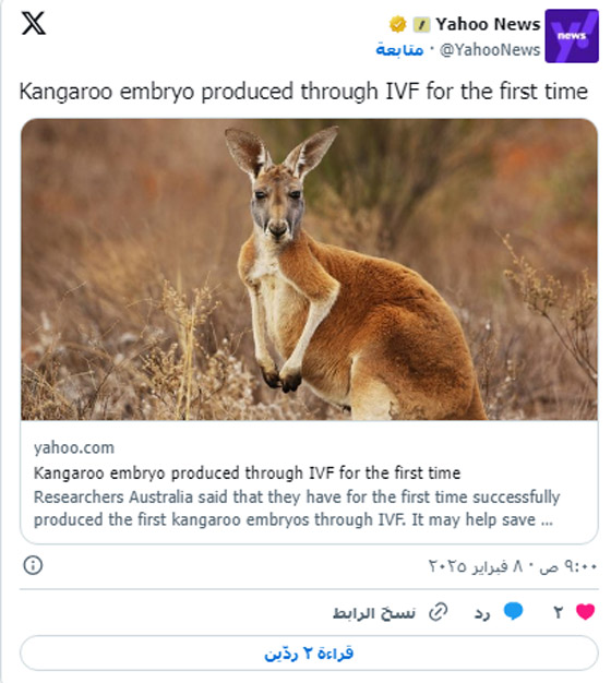  ���� ��� 2 - ��� ���� ���� �� ������ �������� ������� ���������