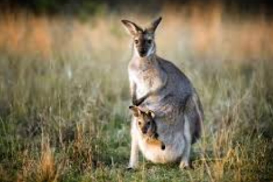  ���� ��� 6 - ��� ���� ���� �� ������ �������� ������� ���������