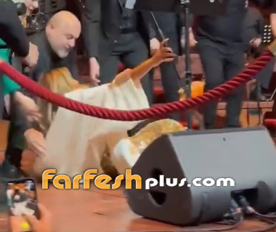 مشاجرة مع نجوى كرم بسبب علم سوريا.. وسقوطها على المسرح يتصدر صورة رقم 1