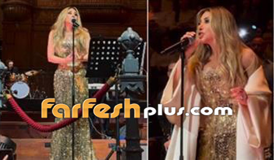 مشاجرة مع نجوى كرم بسبب علم سوريا.. وسقوطها على المسرح يتصدر صورة رقم 13