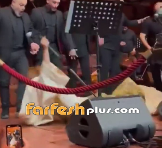 مشاجرة مع نجوى كرم بسبب علم سوريا.. وسقوطها على المسرح يتصدر صورة رقم 2