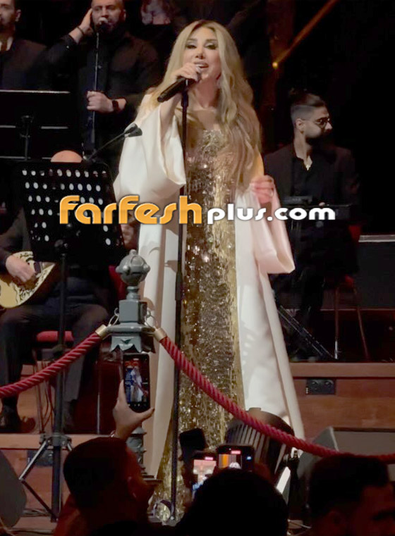 مشاجرة مع نجوى كرم بسبب علم سوريا.. وسقوطها على المسرح يتصدر صورة رقم 11