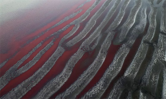 صورة رقم 4 - نهر من صورة رقم 4 - نهر من