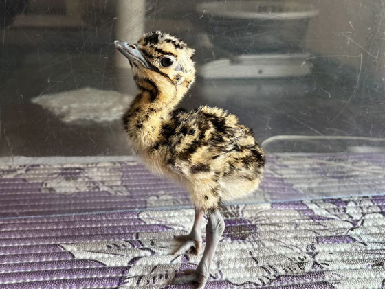  ���� ��� 1 - 