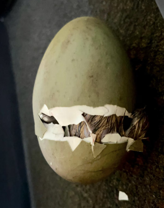  ���� ��� 2 - 