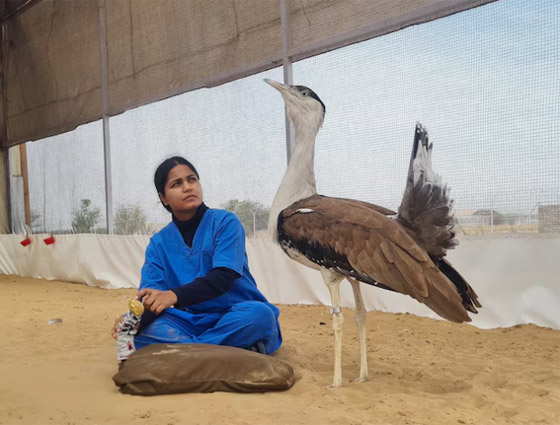  ���� ��� 3 - 