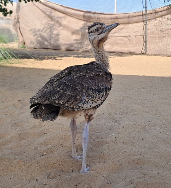  ���� ��� 4 - 