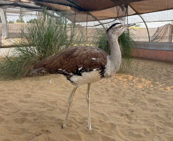  ���� ��� 5 - 