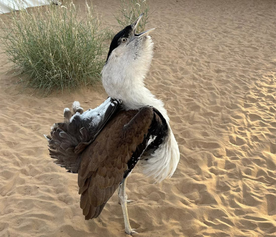  ���� ��� 6 - 