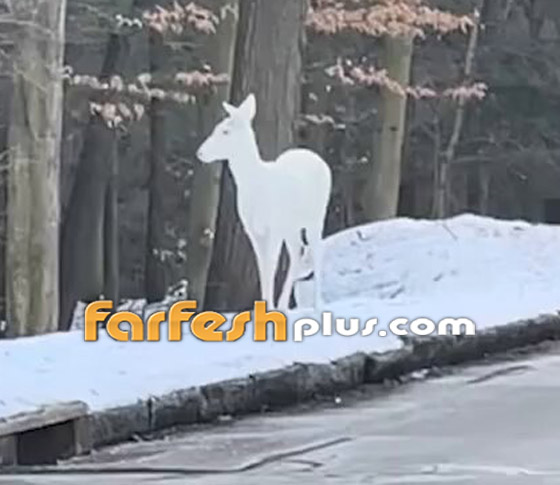  ���� ��� 2 - �����: ����� ���� ���� ����� ���� ����� ���� �����