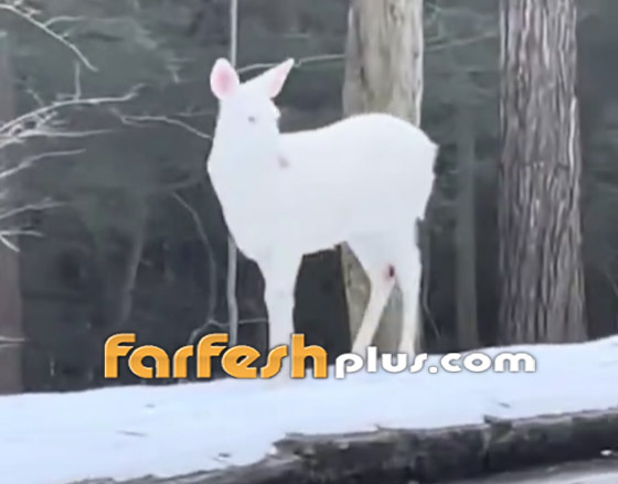  ���� ��� 4 - �����: ����� ���� ���� ����� ���� ����� ���� �����