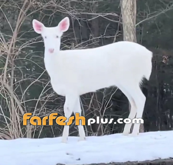  ���� ��� 5 - �����: ����� ���� ���� ����� ���� ����� ���� �����