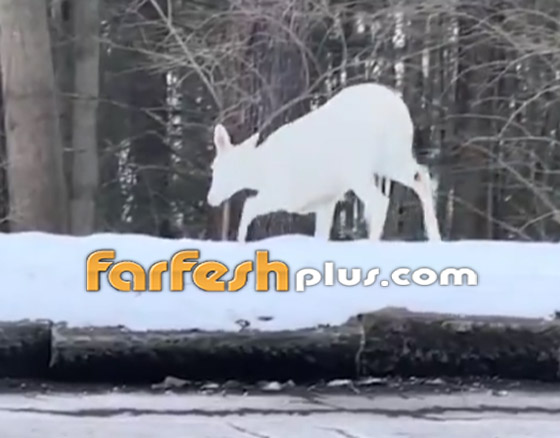  ���� ��� 6 - �����: ����� ���� ���� ����� ���� ����� ���� �����