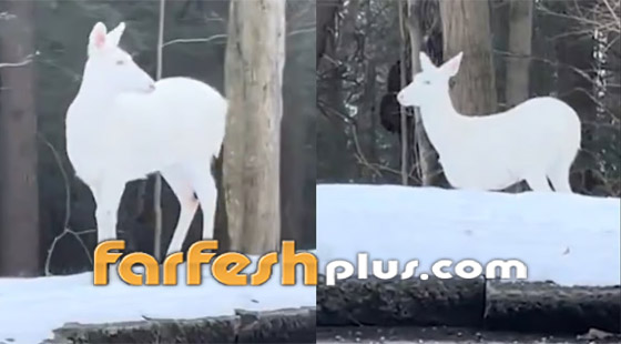  ���� ��� 1 - �����: ����� ���� ���� ����� ���� ����� ���� �����