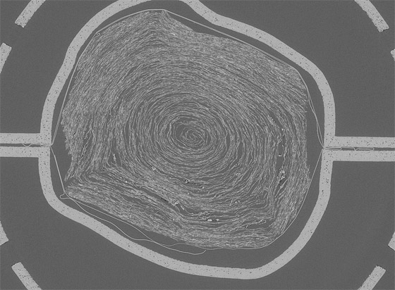فك شفرة مخطوطة متفحمة عمرها 2000 عام.. لن تصدق أولى الكلمات المكتشفة صورة رقم 4 فك شفرة مخطوطة متفحمة عمرها 2000 عام.. لن تصدق أولى الكلمات المكتشفة صورة رقم 4