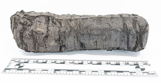 فك شفرة مخطوطة متفحمة عمرها 2000 عام.. لن تصدق أولى الكلمات المكتشفة صورة رقم 3 فك شفرة مخطوطة متفحمة عمرها 2000 عام.. لن تصدق أولى الكلمات المكتشفة صورة رقم 3