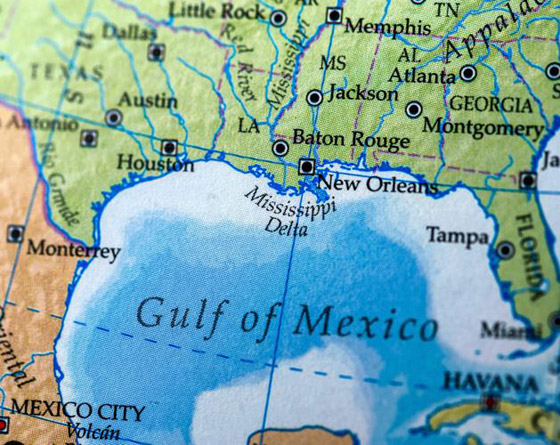 غوغل تغيَر اسم 