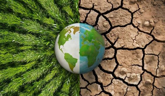  ���� ��� 7 - ����� ������.. ������ ��� 