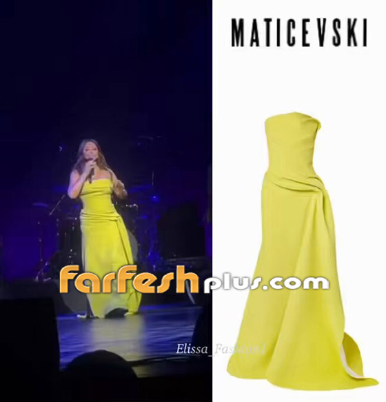 إليسا تتألق وتبكي وترقص وتحاور المعجبين على مسرح أوبرا دبي.. صورة رقم 1