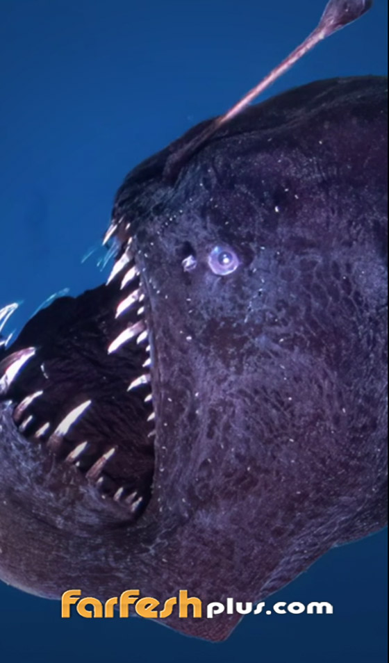  ���� ��� 2 - �����: 