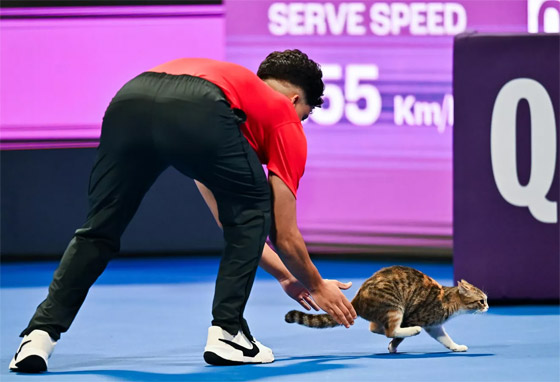 باقة من الصور الطريفة سجلتها عدسات الكاميرات لأحداث هذا الأسبوع صورة رقم 4