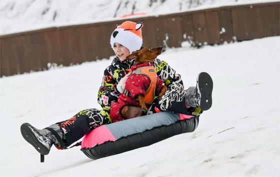 باقة من الصور الطريفة سجلتها عدسات الكاميرات لأحداث هذا الأسبوع صورة رقم 10