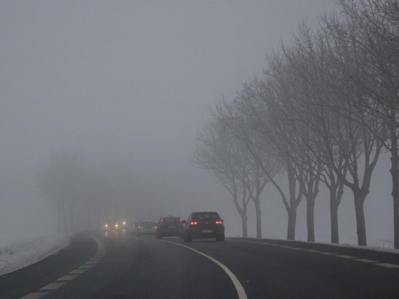 فيديو: ضباب غامض برائحة كيميائية غريبة في فلوريدا يُثير التكهنات صورة رقم 5