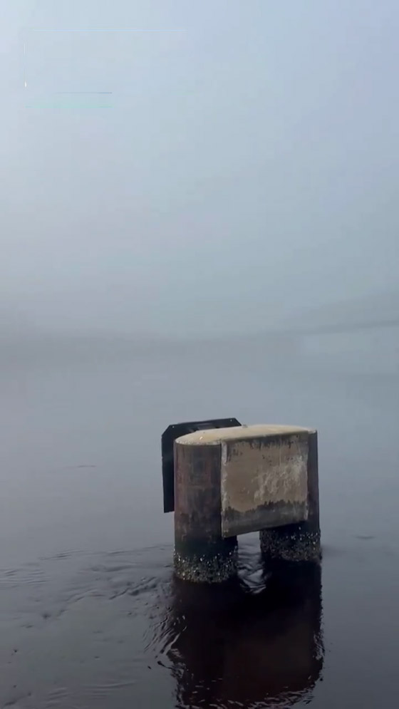 فيديو: ضباب غامض برائحة كيميائية غريبة في فلوريدا يُثير التكهنات صورة رقم 7