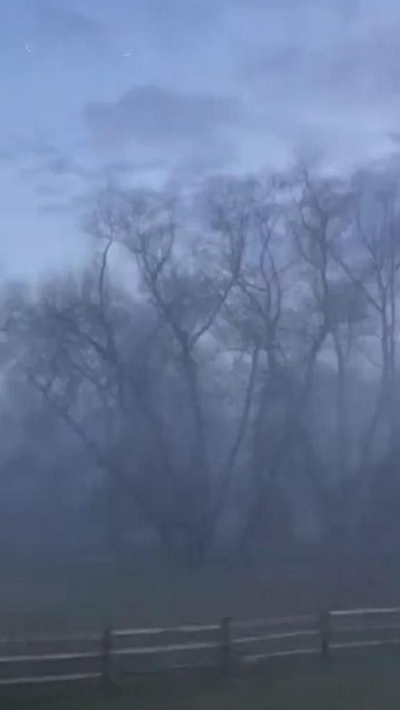 فيديو: ضباب غامض برائحة كيميائية غريبة في فلوريدا يُثير التكهنات صورة رقم 8