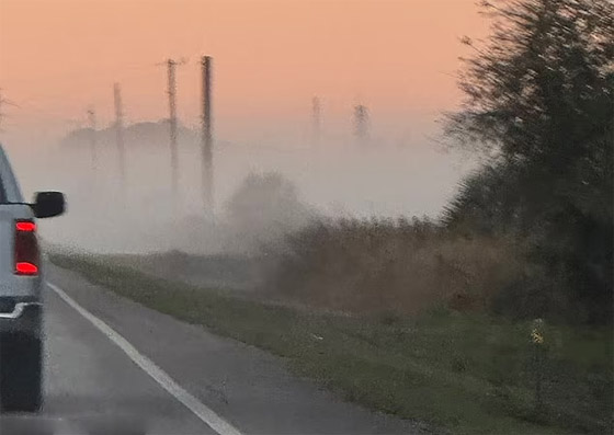 فيديو: ضباب غامض برائحة كيميائية غريبة في فلوريدا يُثير التكهنات صورة رقم 3