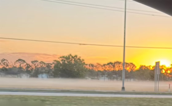 فيديو: ضباب غامض برائحة كيميائية غريبة في فلوريدا يُثير التكهنات صورة رقم 10