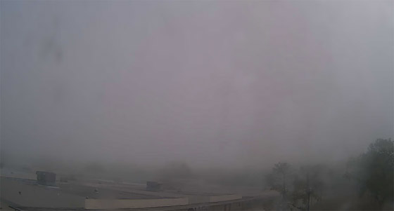فيديو: ضباب غامض برائحة كيميائية غريبة في فلوريدا يُثير التكهنات صورة رقم 11