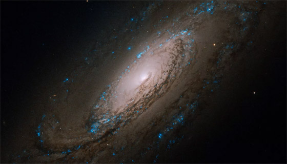  ���� ��� 6 - ������ ���� ����� �� ���� ����� ����� ������ ���� �����.. �����