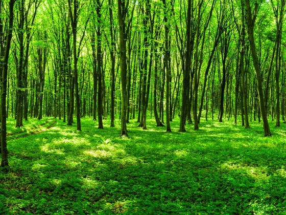 صورة رقم 4 - علميا.. لونكم المفضل يكشف عن نجاحكم في العمل صورة رقم 4 - علميا.. لونكم المفضل يكشف عن نجاحكم في العمل