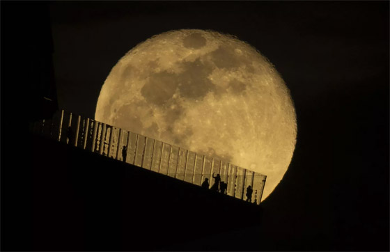  ���� ��� 1 - ������: ���� ���� ������� ��� ����� �� ������