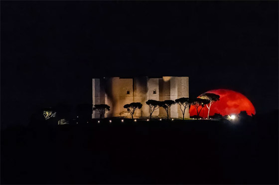  ���� ��� 2 - ������: ���� ���� ������� ��� ����� �� ������