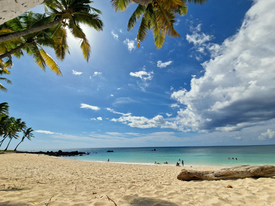 جزر القُمر وجهة سياحية عربية لم يُكتشف جمالها بعد.. صور صورة رقم 2