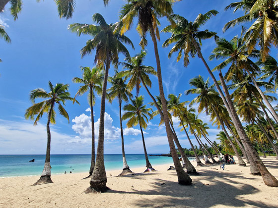 جزر القُمر وجهة سياحية عربية لم يُكتشف جمالها بعد.. صور صورة رقم 3