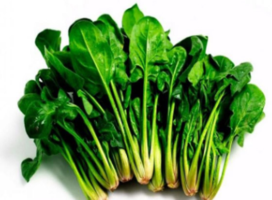 4 خضروات غنية بالبروتين أكثر من البيض صورة رقم 1