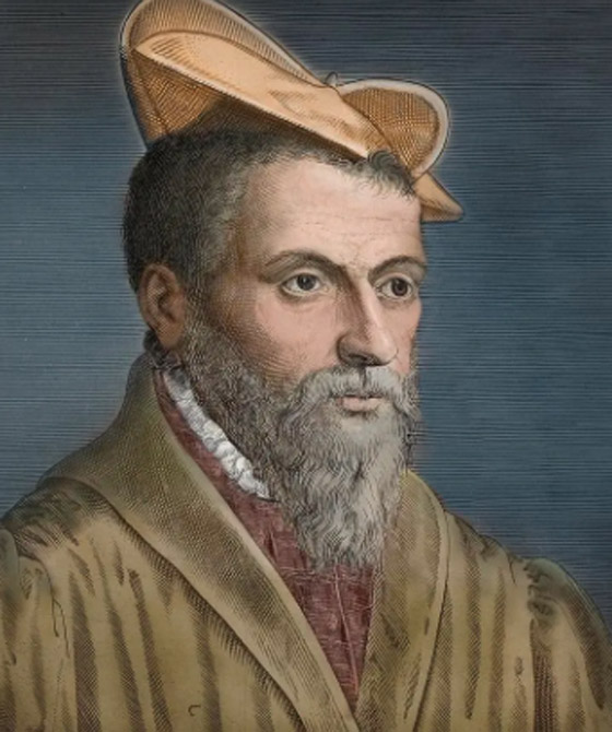 زهرة تسببت بكارثة اقتصادية في أوروبا.. عام 1637 صورة رقم 5