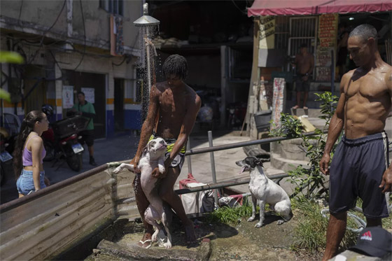 إليكم أطرف الصور لأبرز أحداث العالم لهذا الأسبوع صورة رقم 6