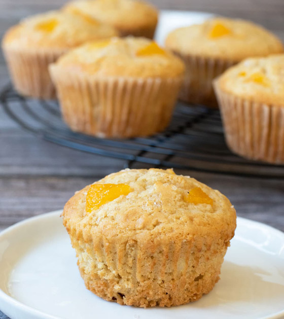  ���� ��� 6 - ����� ����� ��� ���� ������ ����� ������