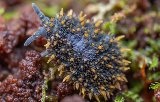 صورة رقم 3 - صورة رقم 3 -