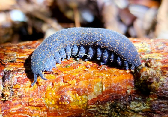 صورة رقم 5 - صورة رقم 5 -