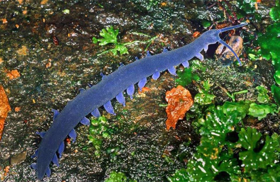 صورة رقم 6 - صورة رقم 6 -