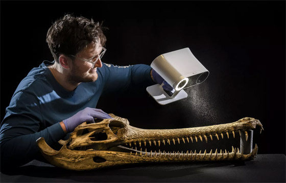 باقة من الصور الطريفة سجلتها عدسات الكاميرات لأحداث هذا الأسبوع صورة رقم 5