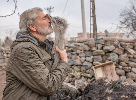 باقة من الصور الطريفة سجلتها عدسات الكاميرات لأحداث هذا الأسبوع صورة رقم 9